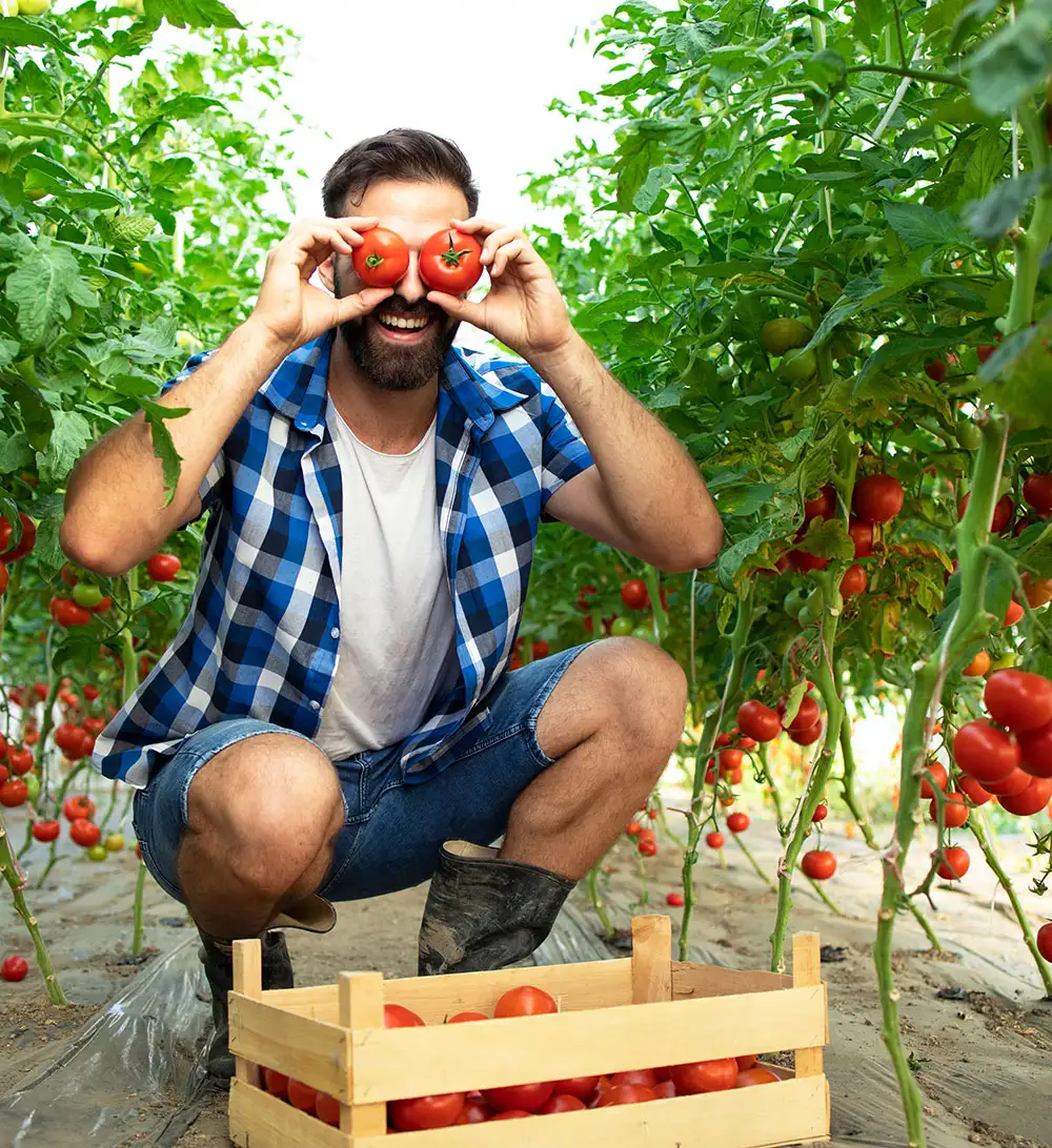 We source agricultural commodities directly from trusted farmers and suppliers across Nigeria. This helps us maintain consistent supply and ensure product quality from the source.