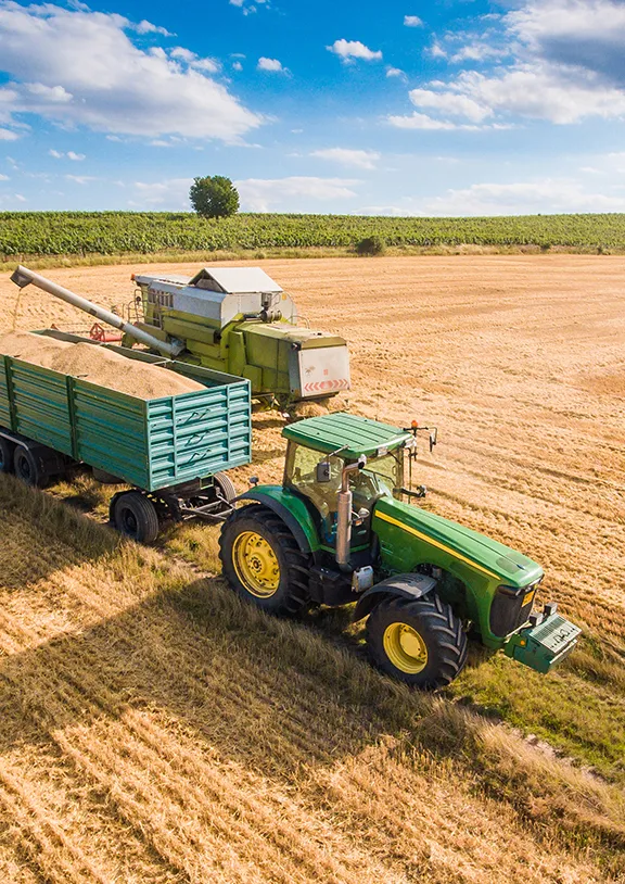 Efficient logistics and timely international shipments.