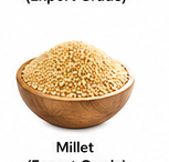 Millet (Export Grade)