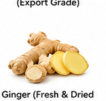Ginger (Fresh & Dried – Export Grade)
