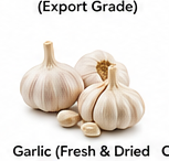 Garlic (Fresh & Dried – Export Grade)