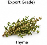 Thyme 